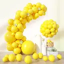 Y5.webp