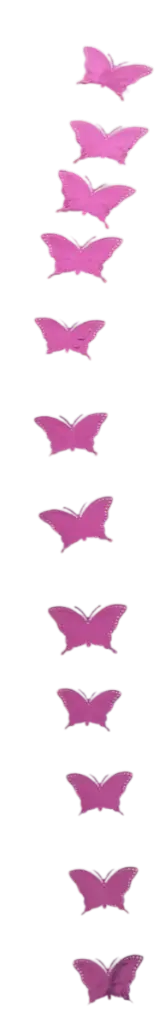 03.webp
