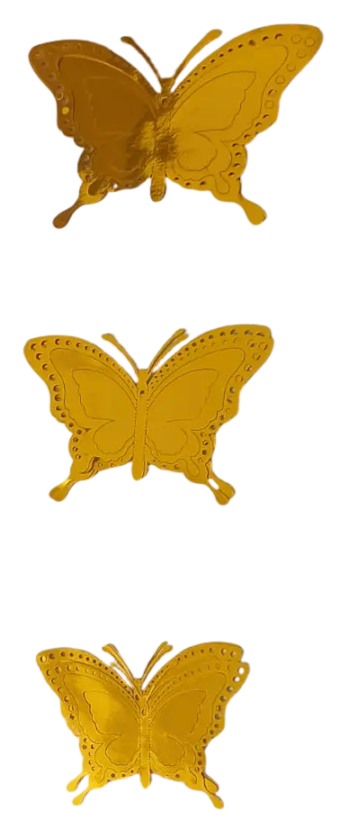 G04.webp