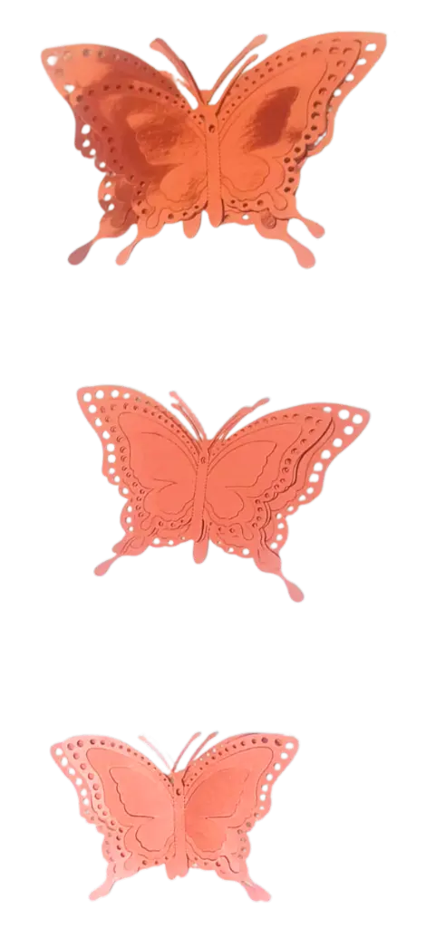 M02.webp