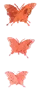 M02.webp