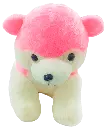 06.webp