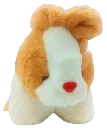 06.webp