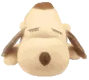 06.webp