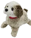 IMG_20250906_143219 - Edited.webp