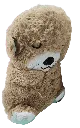 IMG_20250906_191315 - Edited.webp