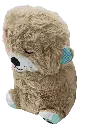 IMG_20250906_191311 - Edited.webp