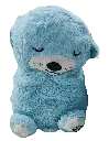 IMG_20250906_191217 - Edited.webp