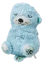 IMG_20250906_191206 - Edited.webp