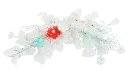 02.webp