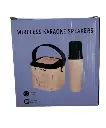 Wireless Karaoke Speakers.webp