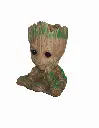 image_0901.webp