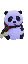 05.webp