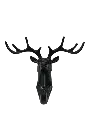04.webp