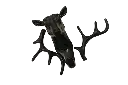 03.webp