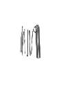 b875e564-c309-4999-a273-170db12ae50c.webp