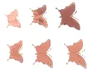 3D Butterfly Wall Decorations, Rose Gold, 12 Pieces, Party Decor with Adhesive