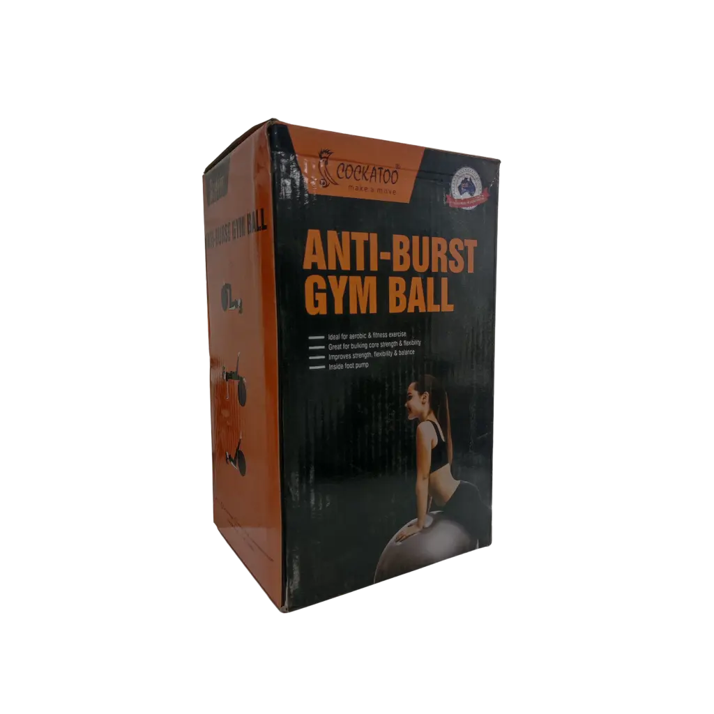  Anti-Burst Gym Ball