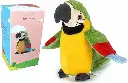 Talking Parrot