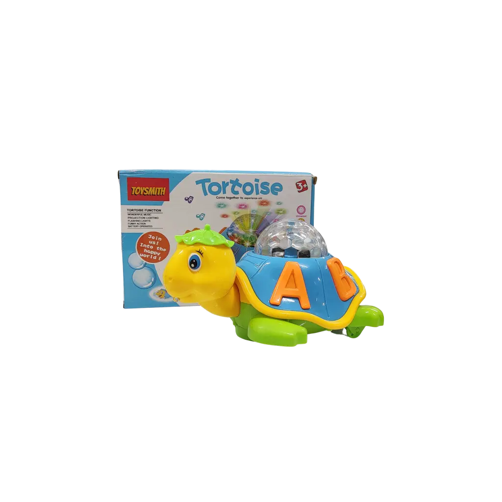 3D Tortoise