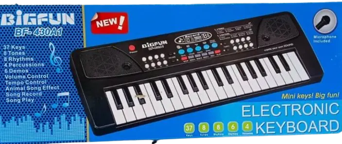 Bigfun Mini Keys Big Fun Electronic Keyboard (430)