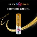 Nippo Gold Extra Heavy Duty Battery AAA Size (Pack of 10 Pcs)
