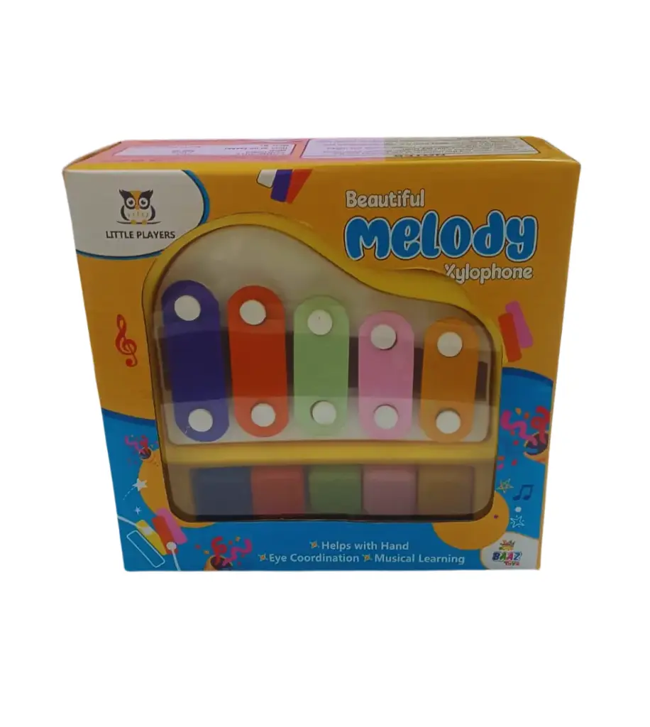 Little Player Beautiful Melody Small Xylophone 