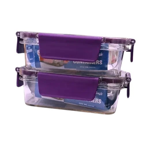 Feel Fresh Lock & Lock Container