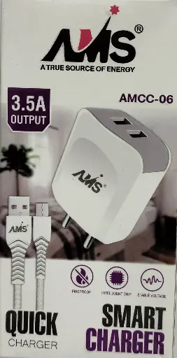 AMS Qulck Charger Smart Charger