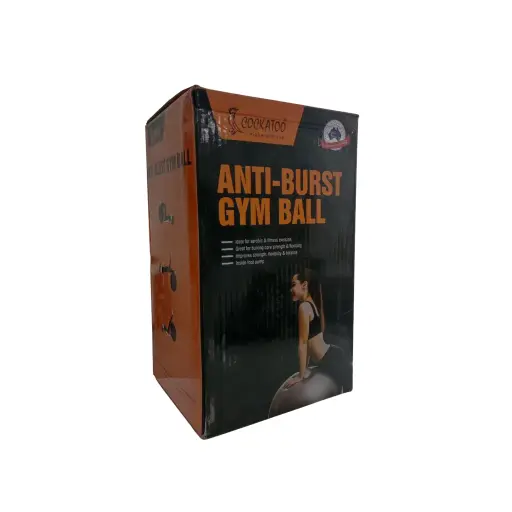  Anti-Burst Gym Ball