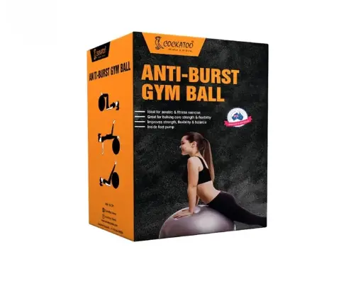  Anti-Burst Gym Ball