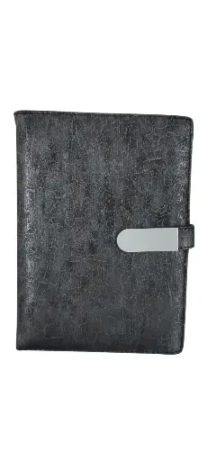 Diary Fancy
