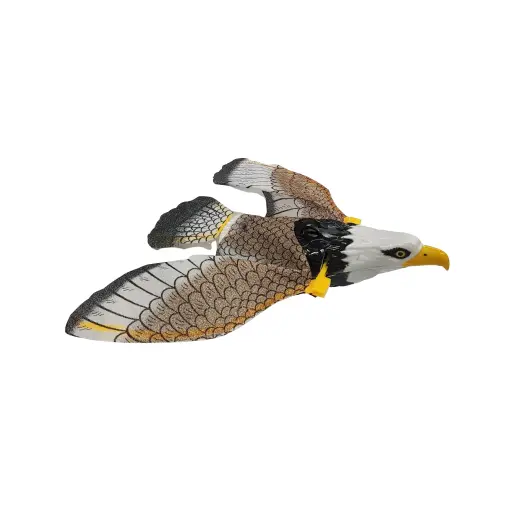 Revolve Fly Eagle 