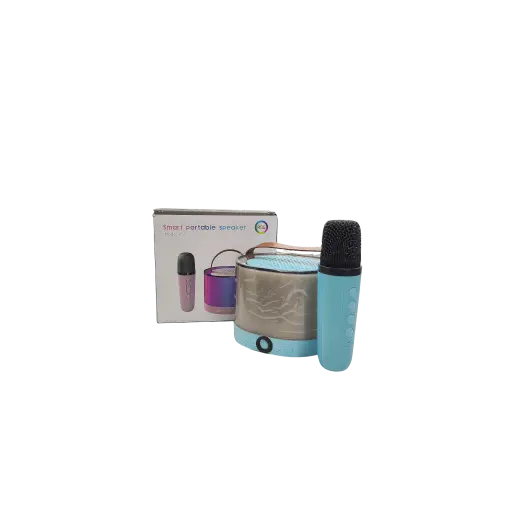 Dual Mlke Smart Portable Speaker 